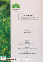 جمینی ویروس ها اثرات، چالش ها و رویکردها