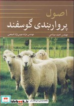 اصول پرواربندی گوسفند
