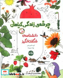 دانشنامه ی شگفت انگیز چرخه ی زندگی گیاهان برکه