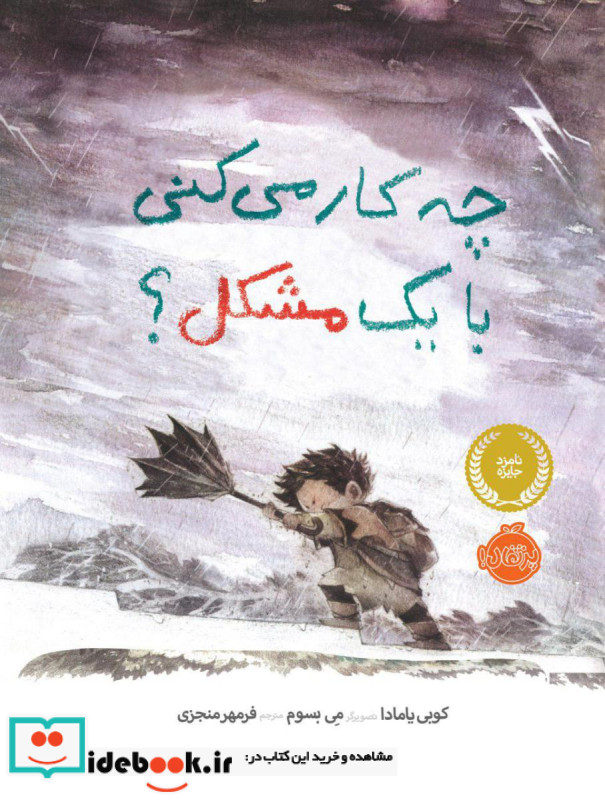 چه کار می کنی با یک مشکل
