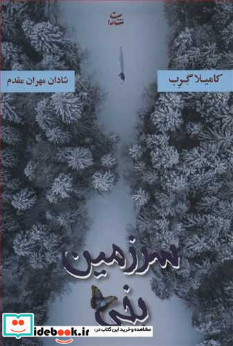 سرزمین یخی