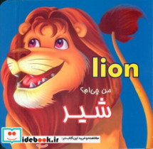 من چی ام؟شیر مقوایی.خشتی کوچک.قصر کتاب