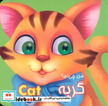 من چی ام؟گربه مقوایی.خشتی کوچک.قصر کتاب