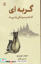 گربه ای که راه و رسم زندگی یاد می داد نارنگی