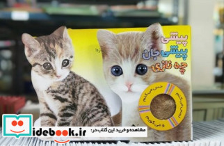 حس می کنم پیشی پیشی جان چه نازی گربه