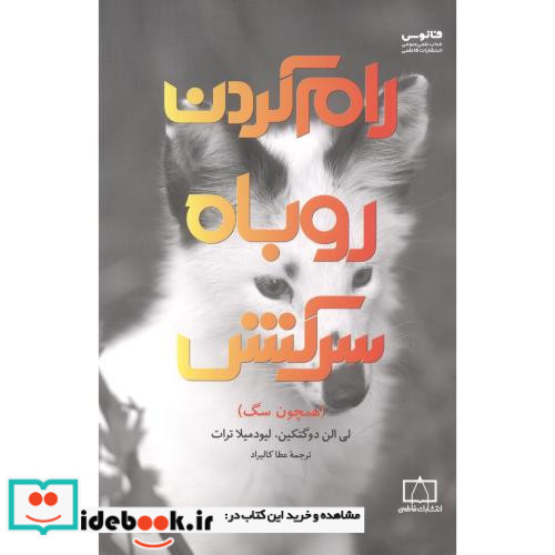 رام کردن روباه سرکش