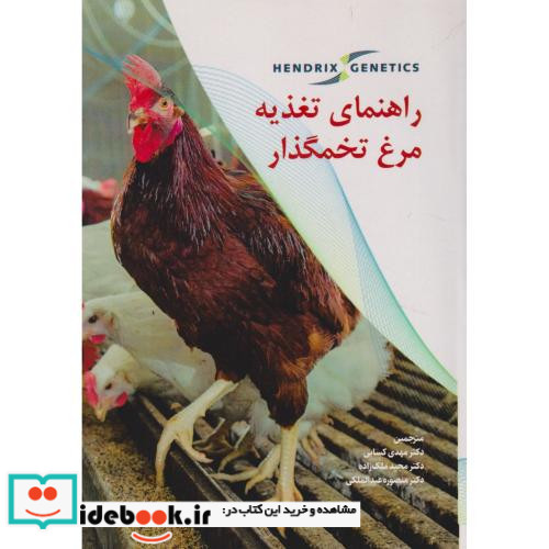 راهنمای تغذیه مرغ تخمگذار
