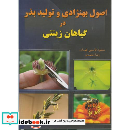 تو امیدم باش