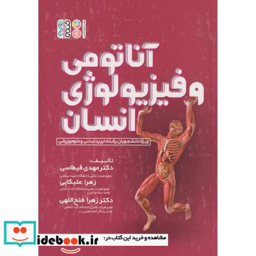 آناتومی و فیزیولوژی انسانی
