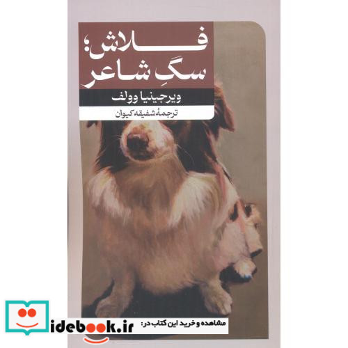 فلاش سگ شاعر