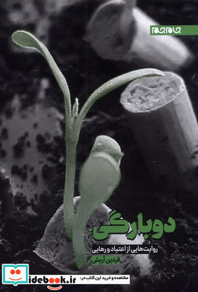 دوبارگی