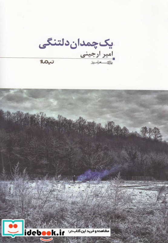 یک چمدان دلتنگی