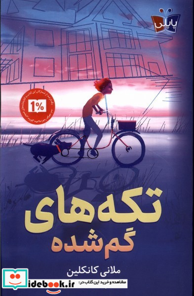 تکه های گم شده