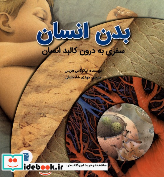 بدن انسان نشر علمی و فرهنگی پرنده آبی