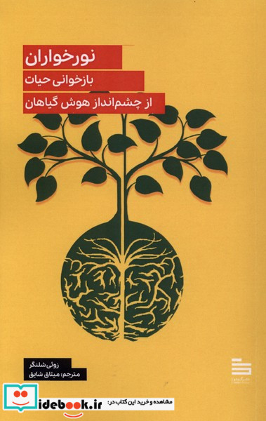 نور خواران