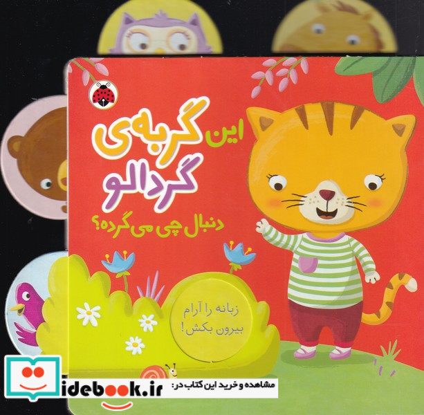 این گربه ی گردالو دنبال چی می گرده