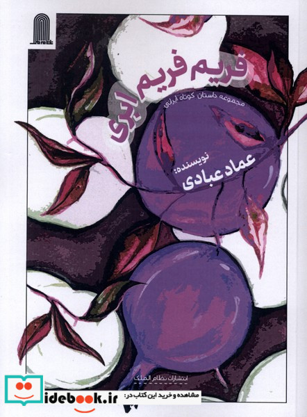 فریم فریم ابری نظام الملک