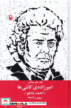 امیرزاده ی کاشی ها