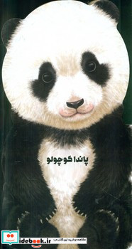 داستان زندگی پاندا کوچولو