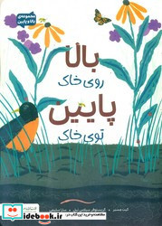 بالا روی خاک پایین توی خاک