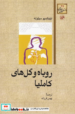 روباه و گلهای کاملیا