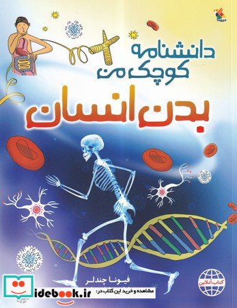 بدن انسان نشر مبتکران میچکا