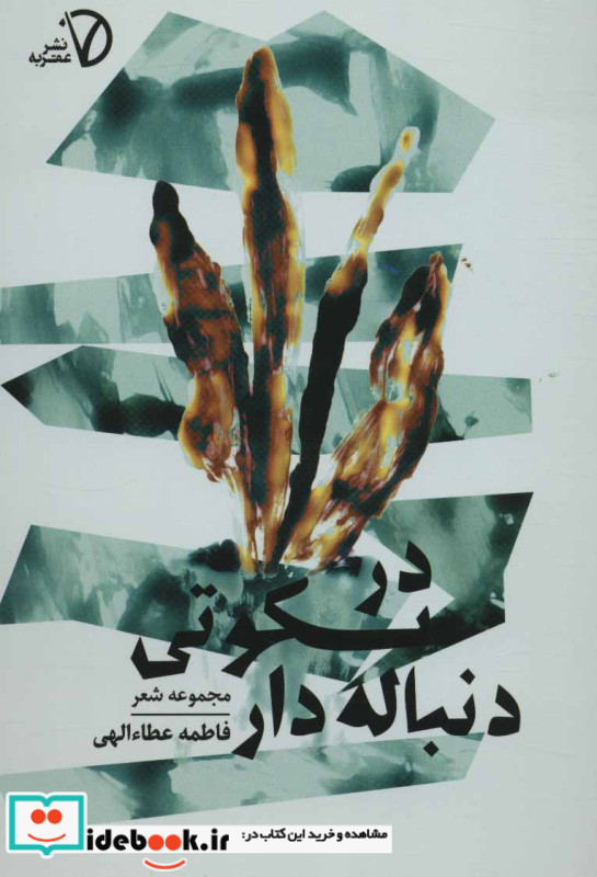 در سکوتی دنباله دار