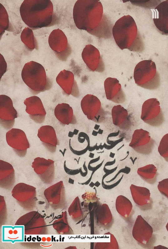 مرغ غریب عشق