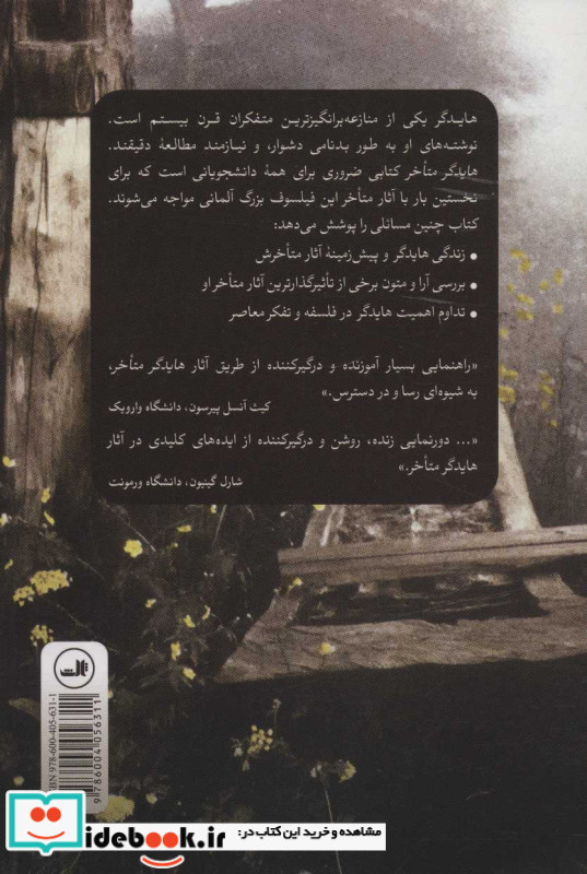 هایدگر متاخر