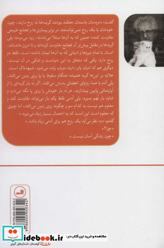 خانه گربه ها