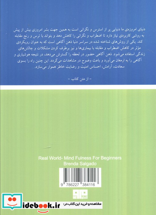 ذهن آگاهی نشر هیرمند