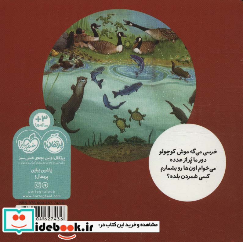 خرسی می تونه بشماره نشر پرتقال