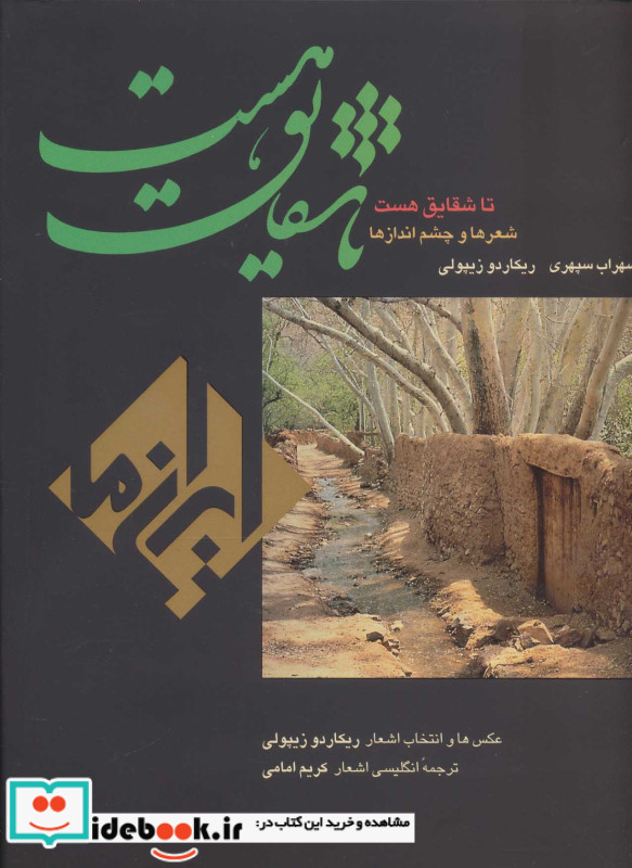 تا شقایق هست