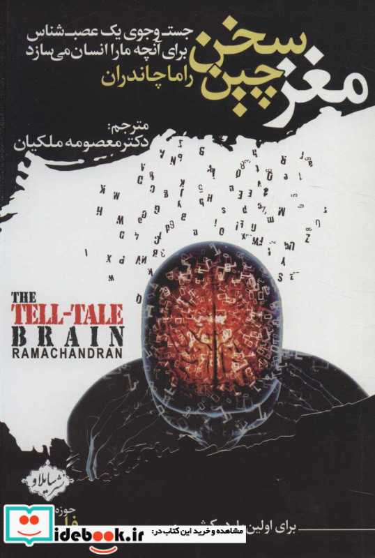 مغز سخن چین