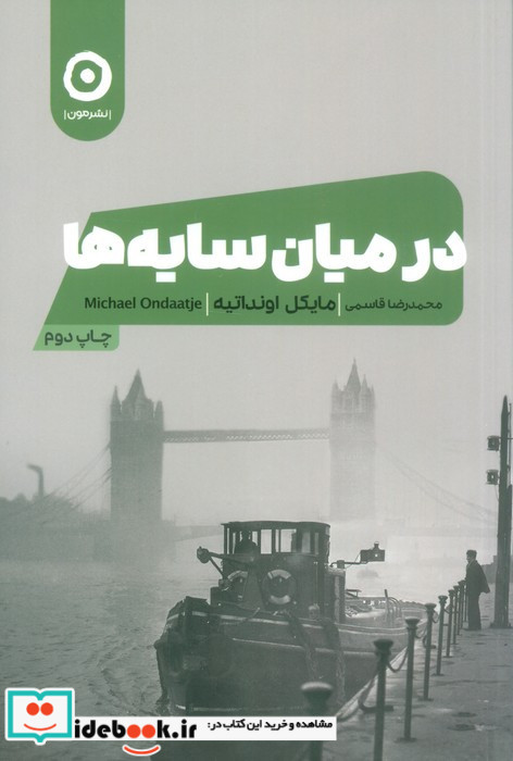 در میان سایه ها