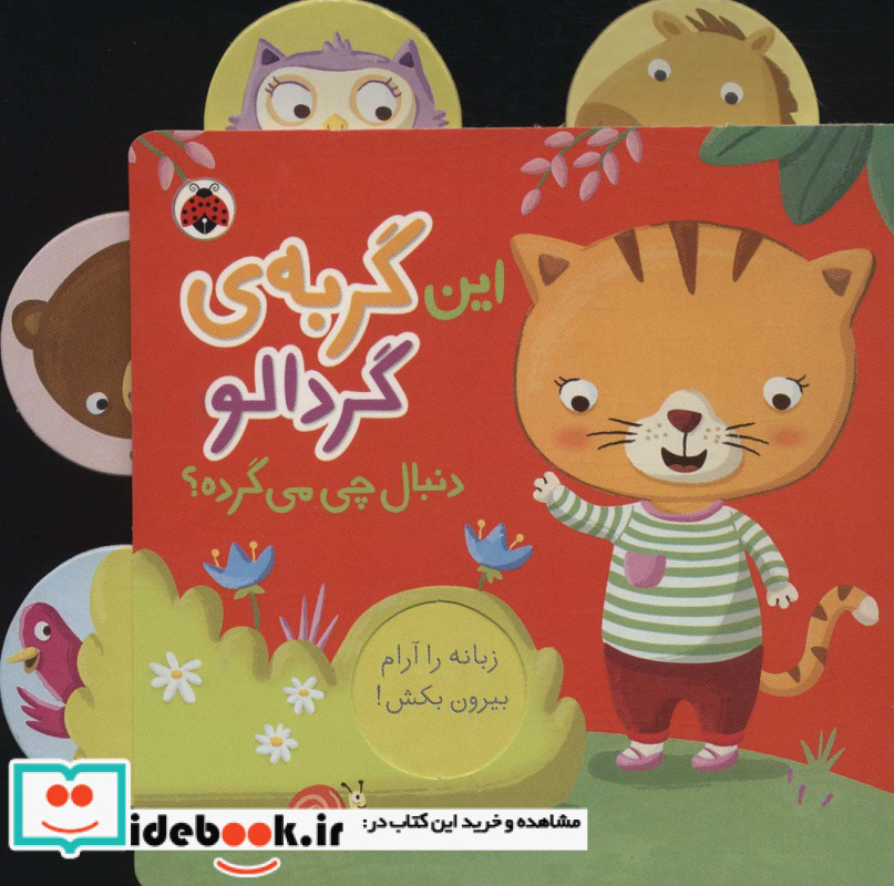 این گربه ی گردالو دنبال چی می گرده