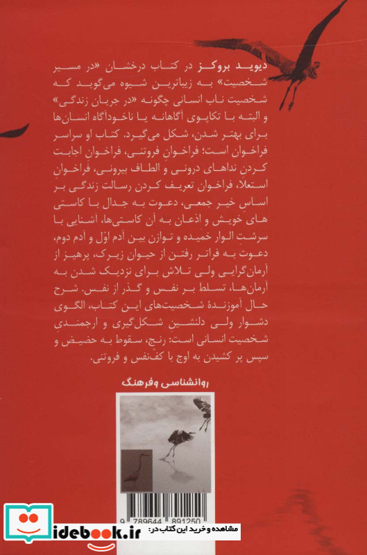 در مسیر شخصیت