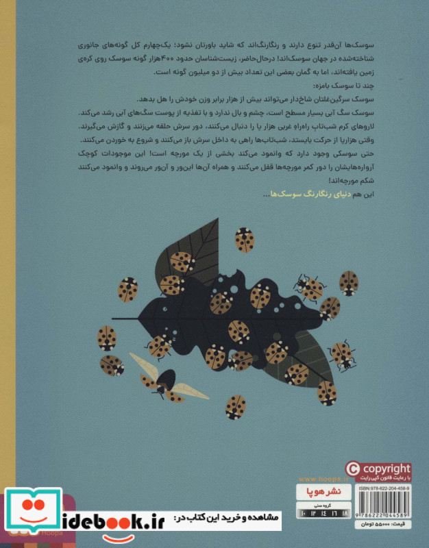 دنیای رنگارنگ سوسک ها