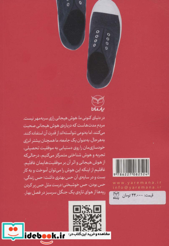 هوش هیجانی مهارت های خلق عمومی نشر یارمانا