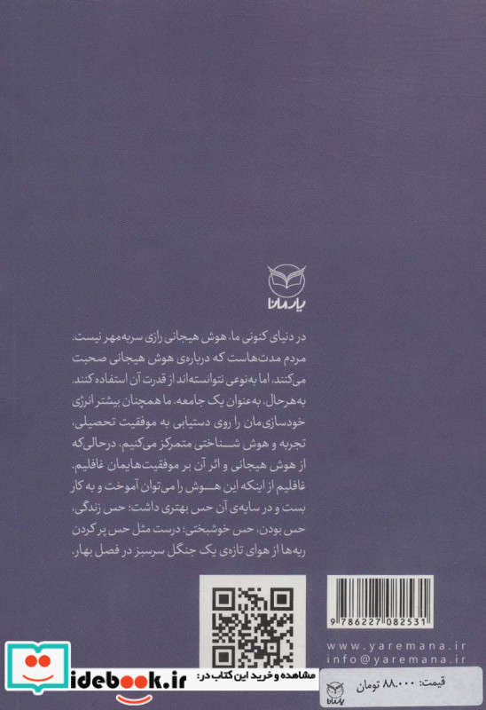 هوش هیجانی مهارت های درون فردی نشر یارمانا
