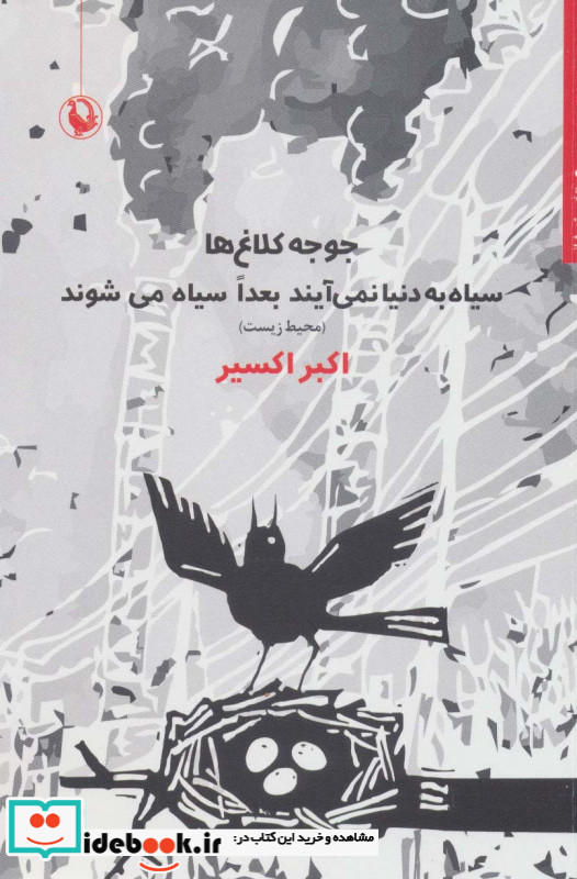 جوجه کلاغ ها سیاه به دنیا نمی آیند بعدا سیاه 