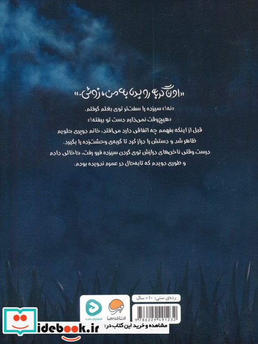 گربه سیزدهم