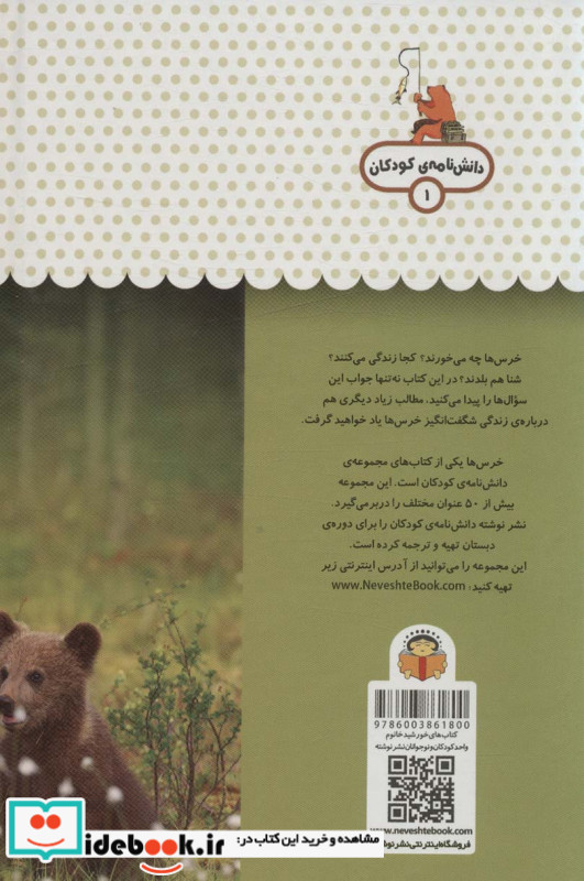 یک فنجان دانستنی درباره ی خرس ها