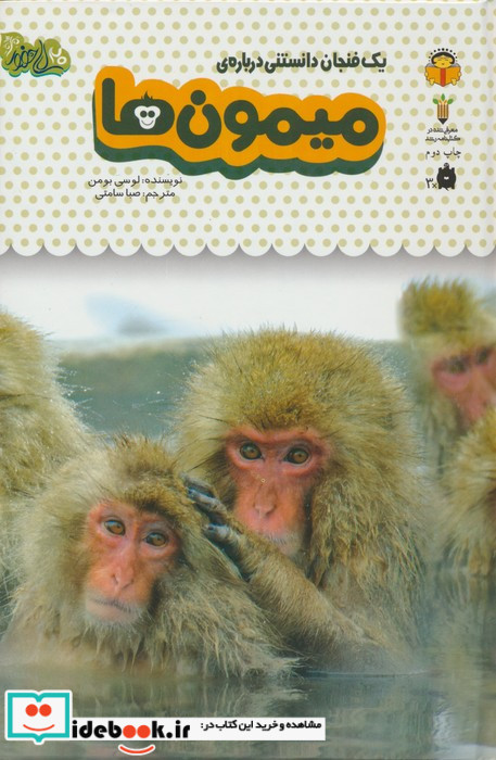 یک فنجان دانستنی درباره ی میمون ها