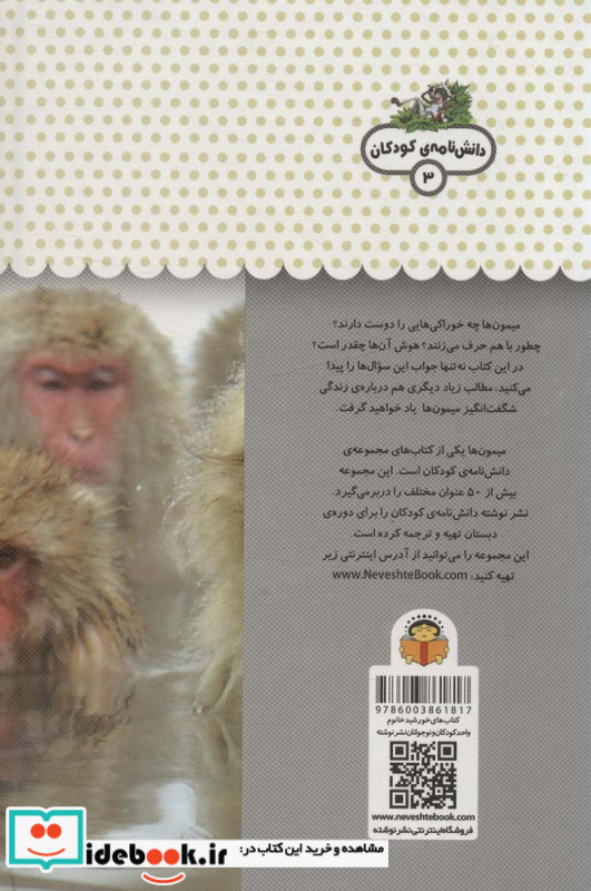 یک فنجان دانستنی درباره ی میمون ها