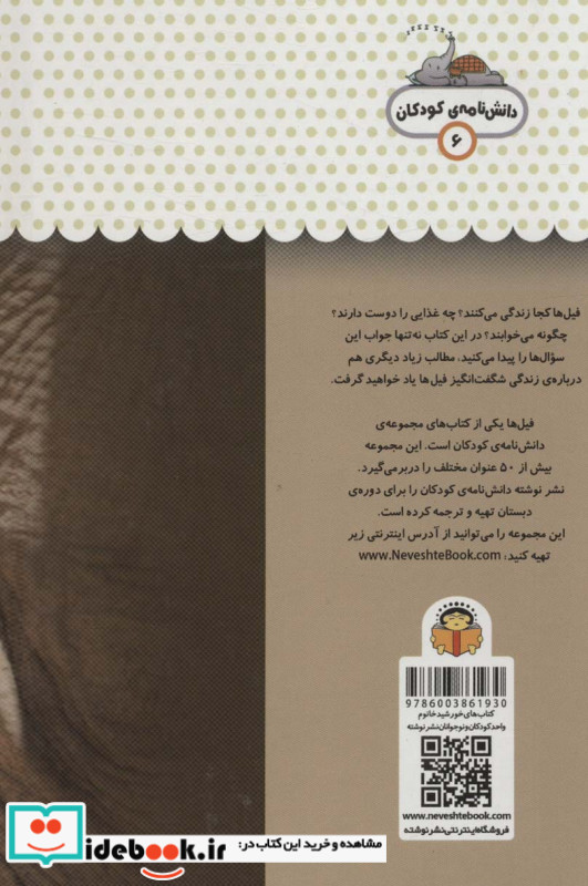 یک فنجان دانستنی درباره ی فیل ها