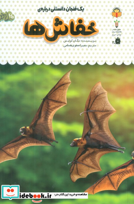 یک فنجان دانستنی درباره ی خفاش ها