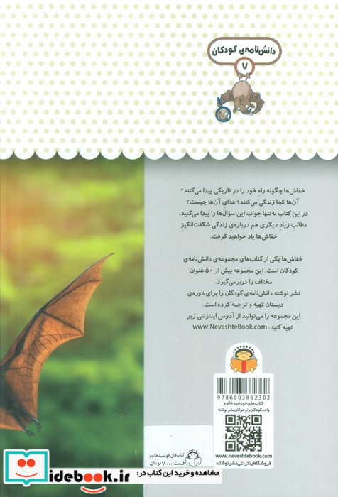 یک فنجان دانستنی درباره ی خفاش ها