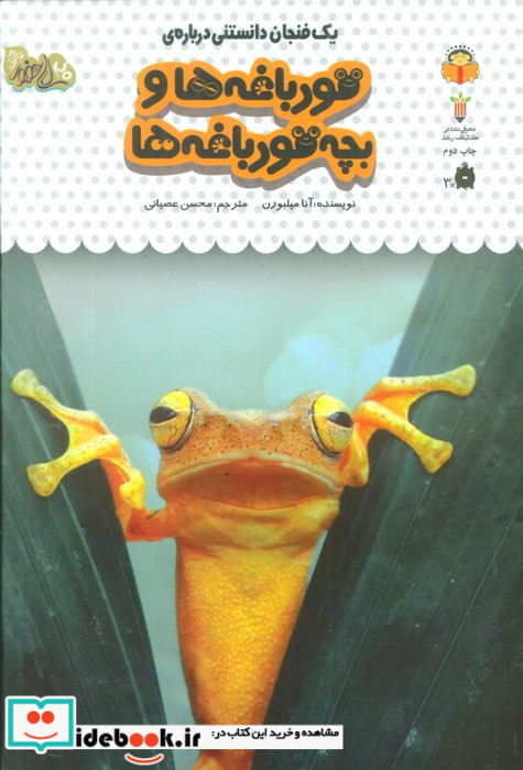 یک فنجان دانستنی درباره ی قورباغه ها و بچه قورباغه ها