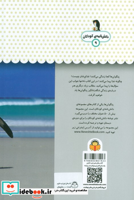 یک فنجان دانستنی درباره ی پنگوئن ها